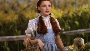 Dorothy's Dress