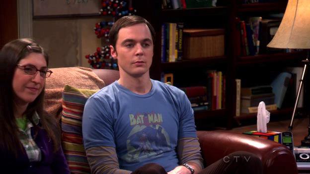 Sheldon's Batman & Robin Shirt - Filmgarb.com