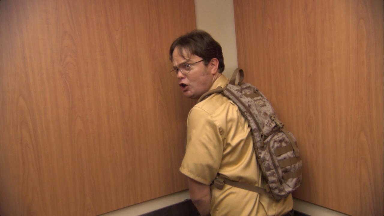 Dwight backpack store